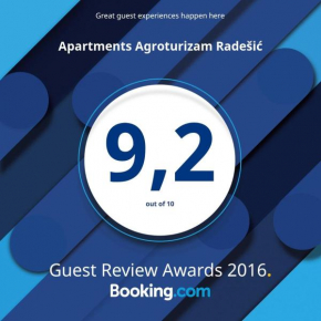 Отель Apartments Agroturizam Radešić  Буйе